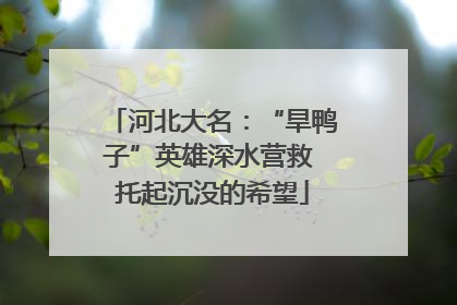 河北大名：“旱鸭子”英雄深水营救 托起沉没的希望