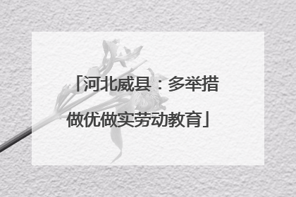 河北威县：多举措做优做实劳动教育