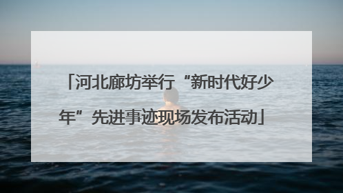 河北廊坊举行“新时代好少年”先进事迹现场发布活动
