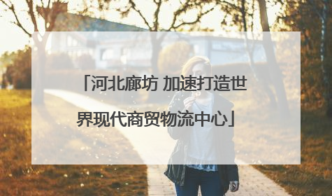 河北廊坊 加速打造世界现代商贸物流中心