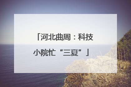 河北曲周：科技小院忙“三夏”