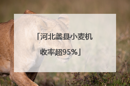 河北蠡县小麦机收率超95%