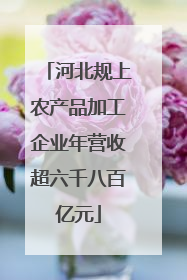河北规上农产品加工企业年营收超六千八百亿元