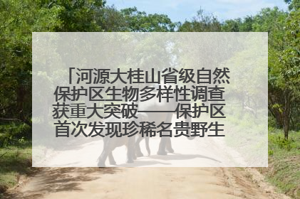 河源大桂山省级自然保护区生物多样性调查获重大突破——保护区首次发现珍稀名贵野生干巴菌与钝尾两头蛇