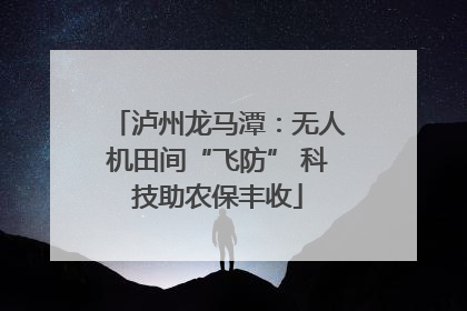泸州龙马潭：无人机田间“飞防” 科技助农保丰收