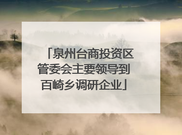 泉州台商投资区管委会主要领导到百崎乡调研企业