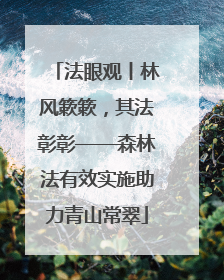 法眼观丨林风簌簌，其法彰彰——森林法有效实施助力青山常翠