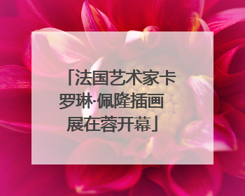 法国艺术家卡罗琳·佩隆插画展在蓉开幕