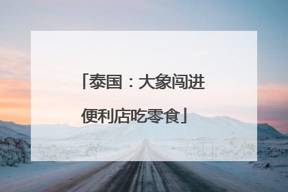 泰国：大象闯进便利店吃零食
