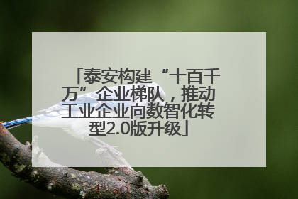 泰安构建“十百千万”企业梯队，推动工业企业向数智化转型2.0版升级
