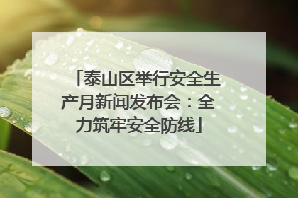 泰山区举行安全生产月新闻发布会：全力筑牢安全防线