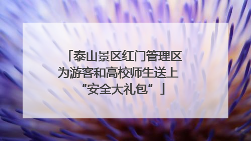 泰山景区红门管理区为游客和高校师生送上 “安全大礼包”