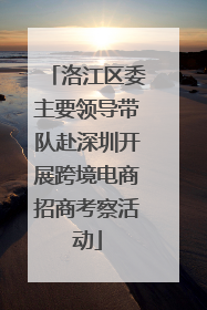 洛江区委主要领导带队赴深圳开展跨境电商招商考察活动