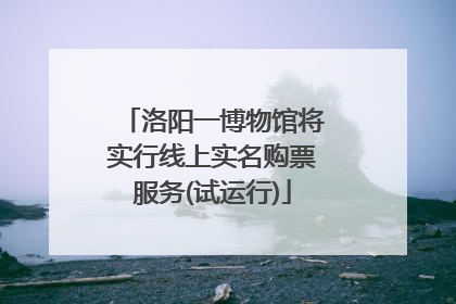 洛阳一博物馆将实行线上实名购票服务(试运行)
