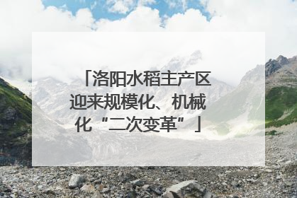 洛阳水稻主产区迎来规模化、机械化“二次变革”
