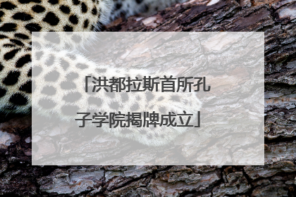 洪都拉斯首所孔子学院揭牌成立