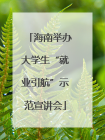 海南举办大学生“就业引航”示范宣讲会