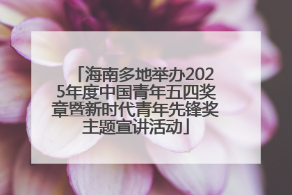 海南多地举办2025年度中国青年五四奖章暨新时代青年先锋奖主题宣讲活动