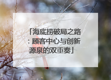 海底捞破局之路：顾客中心与创新源泉的双重奏