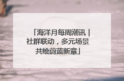 海洋月每周潮讯｜社群联动，多元场景共绘蔚蓝新章