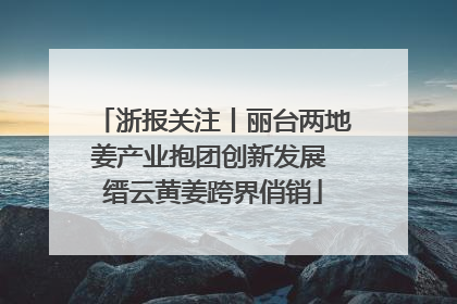 浙报关注丨丽台两地姜产业抱团创新发展 缙云黄姜跨界俏销