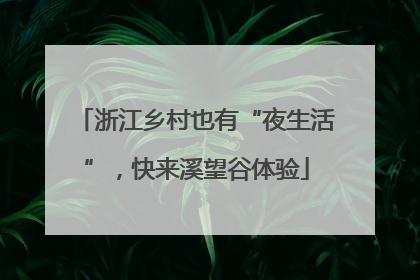 浙江乡村也有“夜生活”，快来溪望谷体验