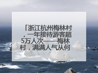 浙江杭州梅林村,一年接待游客超5万人次——梅林村,满满人气从何来(经济新方位·农村消费观察)