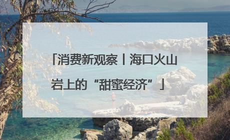 消费新观察丨海口火山岩上的“甜蜜经济”