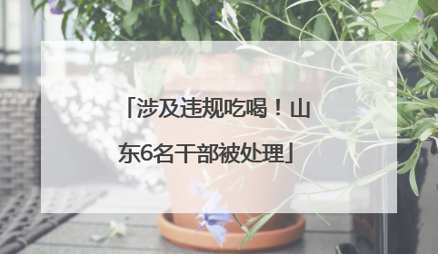 涉及违规吃喝！山东6名干部被处理