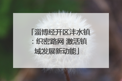 淄博经开区沣水镇：织密路网 激活镇域发展新动能