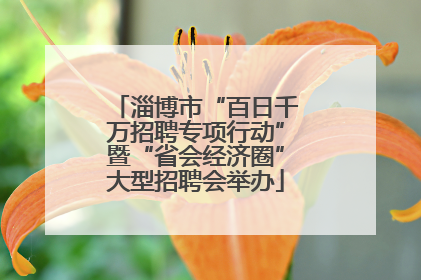 淄博市“百日千万招聘专项行动”暨“省会经济圈”大型招聘会举办