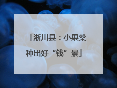 淅川县：小果桑种出好“钱”景