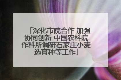 深化市院合作 加强协同创新 中国农科院作科所调研石家庄小麦选育种等工作
