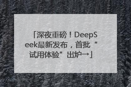 深夜重磅！DeepSeek最新发布，首批“试用体验”出炉→