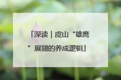 深读｜虞山“雄鹰”展翅的养成逻辑