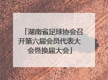 湖南省足球协会召开第六届会员代表大会暨换届大会