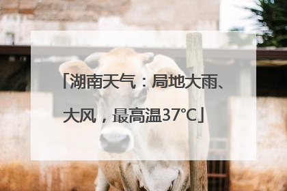 湖南天气：局地大雨、大风，最高温37℃