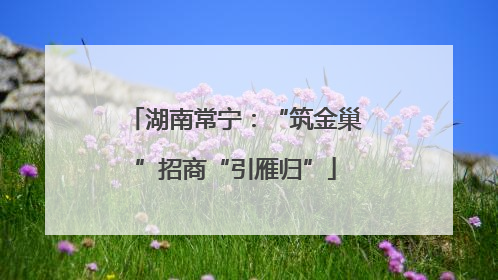 湖南常宁：“筑金巢”招商“引雁归”