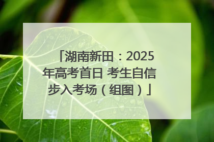 湖南新田：2025年高考首日 考生自信步入考场（组图）