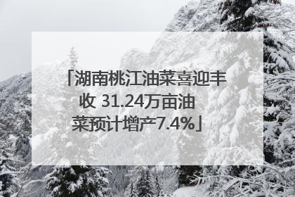 湖南桃江油菜喜迎丰收 31.24万亩油菜预计增产7.4%