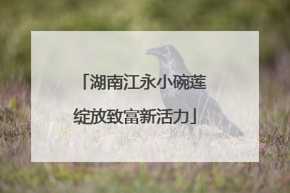 湖南江永小碗莲绽放致富新活力