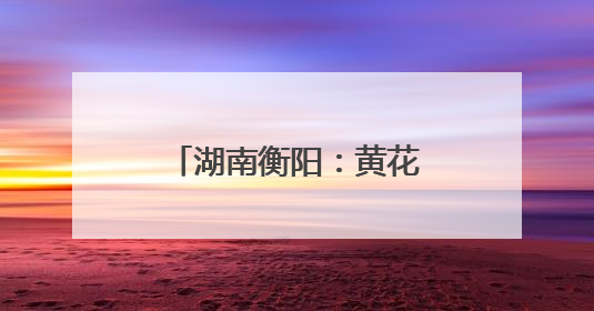 湖南衡阳：黄花菜采收加工忙