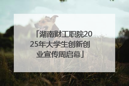 湖南财工职院2025年大学生创新创业宣传周启幕