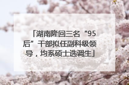 湖南隆回三名“95后”干部拟任副科级领导，均系硕士选调生