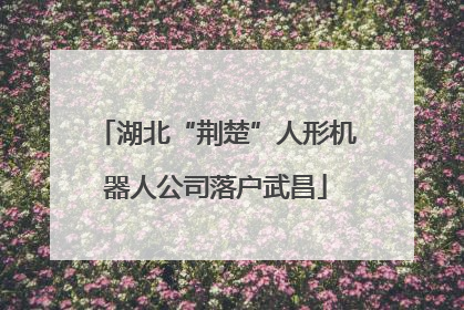 湖北“荆楚”人形机器人公司落户武昌