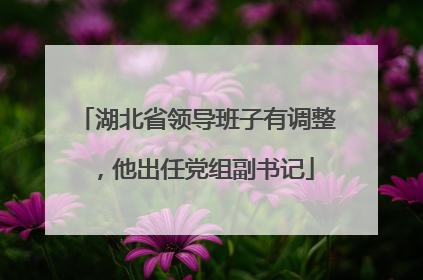 湖北省领导班子有调整，他出任党组副书记