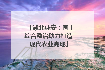 湖北咸安：国土综合整治助力打造现代农业高地