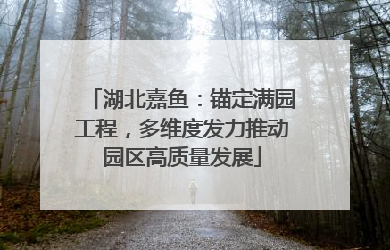 湖北嘉鱼：锚定满园工程，多维度发力推动园区高质量发展