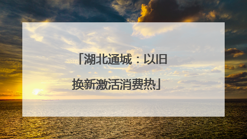 湖北通城：以旧换新激活消费热