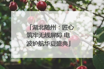 湖北随州：匠心筑牢无线屏障 电波护航华夏盛典